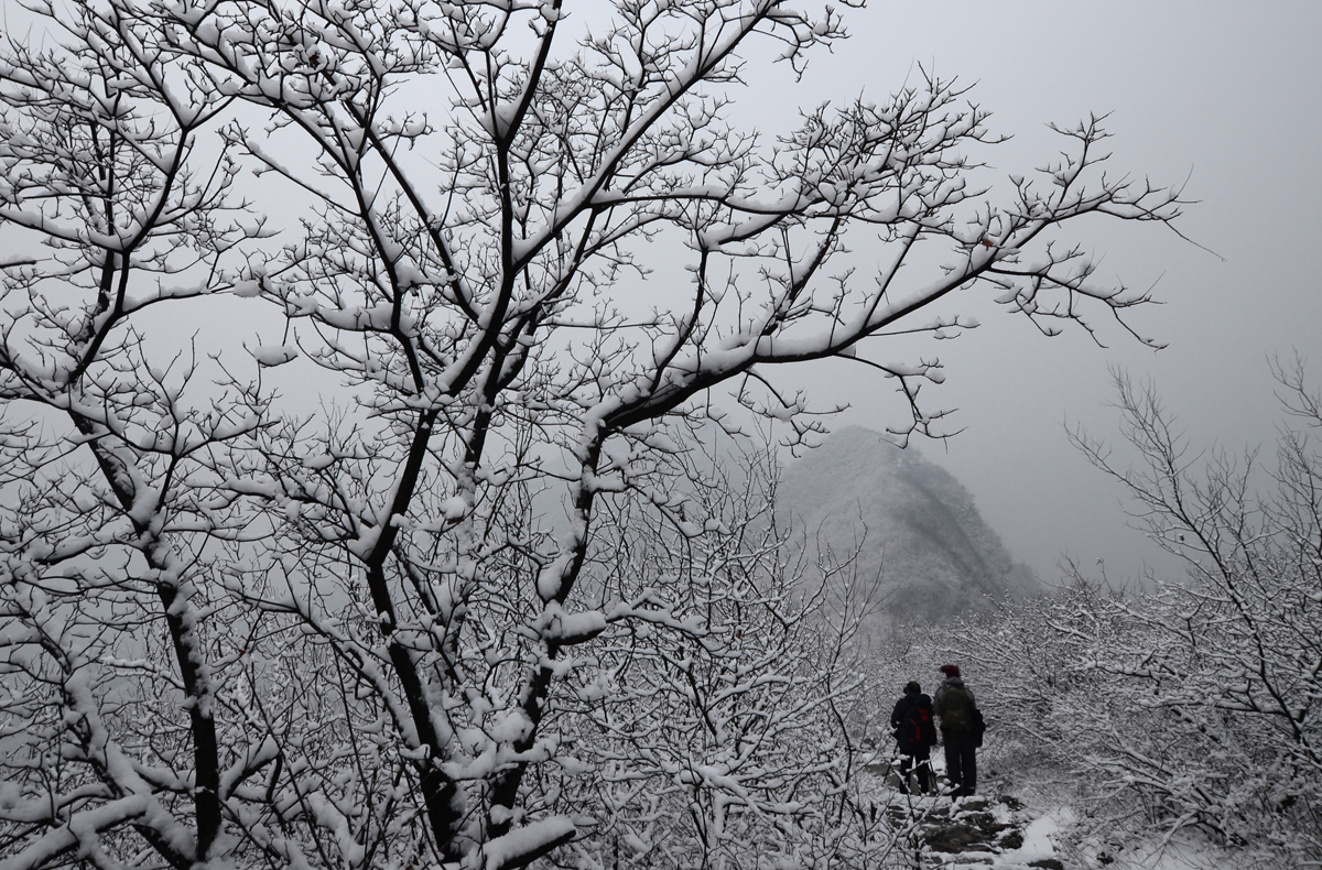 雪景2.jpg