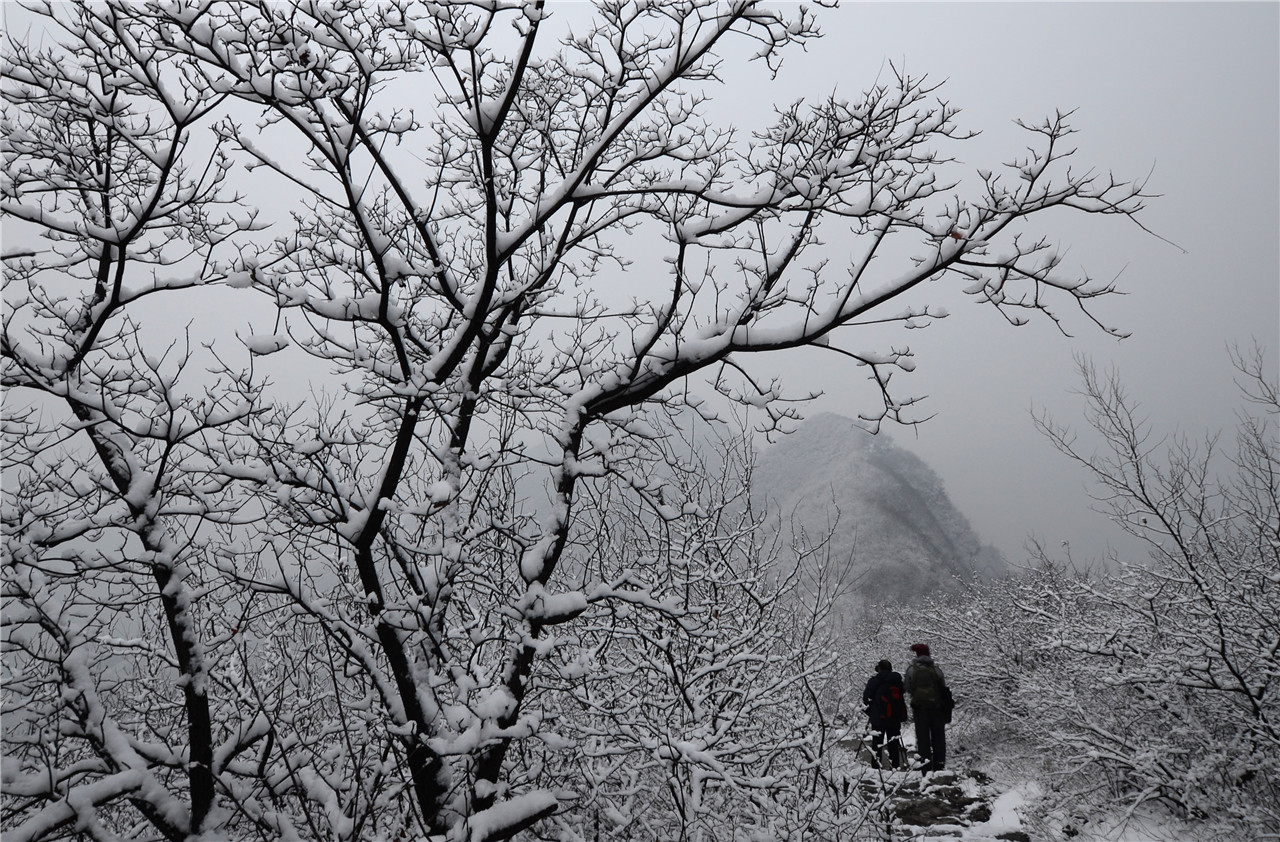 雪景2.JPG