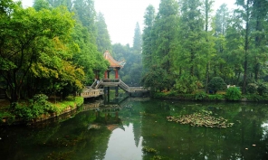 [原创]小景