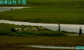 【原创】白沙湖滩涂夜景试拍